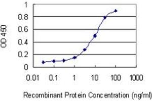 Detection limit for recombinant GST tagged DCBLD2 is 0. (DCBLD2 antibody  (AA 80-164))