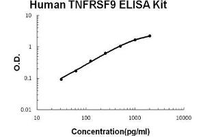 ELISA image for Tumor Necrosis Factor Receptor Superfamily, Member 9 (TNFRSF9) ELISA Kit (ABIN1672885)