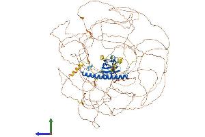 AlphaFold protein structure predicition of Human Recombinant RAB11FIP1 Protein, UniprotID Q6WKZ4 (RAB11FIP1 Protein (AA 1-1283) (His tag))