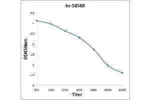 Antigen: 2ug/100ul Primary: Antiserum, 1:500, 1:1000, 1:2000, 1:4000, 1:8000, 1:16000, 1:32000, Secondary: HRP conjugated Rabbit Anti-Goat IgG-HRP) at 1: 5000, TMB stainingRead the data in Microplate Reader by 450nm. (CPB1 antibody  (AA 251-350))