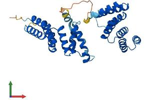 Protein Structure (PS) image for Translocase of Outer Mitochondrial Membrane 34 (TOMM34) (AA 1-309) protein (His tag) (ABIN7560753)