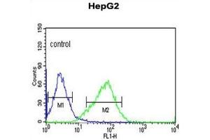 Flow Cytometry (FACS) image for anti-Olfactory Receptor, Family 2, Subfamily H, Member 2 (OR2H2) antibody (ABIN3004007)