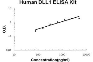 Human DLL1 PicoKine ELISA Kit standard curve