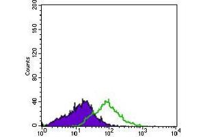 Flow cytometric analysis of HL60 cells using ITGA2B mouse mAb (green) and negative control (purple). (Integrin Alpha2b antibody  (AA 45-149))