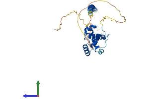 AlphaFold protein structure predicition of Human Recombinant CCDC106 Protein, UniprotID Q9BWC9