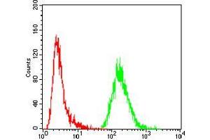 Flow cytometric analysis of MCF-7 cells using GNAS mouse mAb (green) and negative control (red). (GNAS antibody  (AA 42-188))