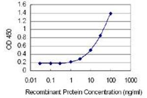 Detection limit for recombinant GST tagged HN1L is 0. (HN1L antibody  (AA 1-190))
