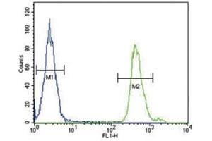 Flow Cytometry (FACS) image for anti-SMAD, Mothers Against DPP Homolog 3 (SMAD3) (AA 186-215) antibody (ABIN3032621)