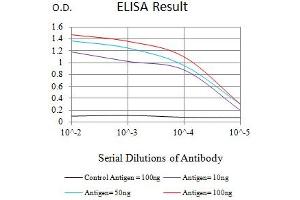 Black line: Control Antigen (100 ng),Purple line: Antigen (10 ng), Blue line: Antigen (50 ng), Red line:Antigen (100 ng) (MME antibody  (AA 52-246))