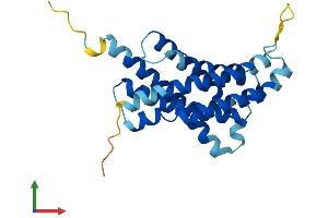 AlphaFold protein structure predicition of Human Recombinant HACD4 Protein, UniprotID Q5VWC8 (PTPLAD2 Protein (AA 1-232) (His tag))