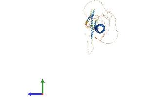 AlphaFold protein structure predicition of Human Recombinant CAGE1 Protein, UniprotID Q8TC20 (CAGE1 Protein (AA 1-777) (His tag))