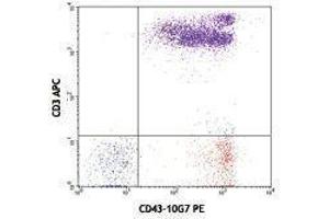Flow Cytometry (FACS) image for anti-Sialophorin (SPN) antibody (PE) (ABIN2663462) (CD43 antibody  (PE))