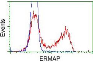 HEK293T cells transfected with either pCMV6-ENTRY ERMAP (RC215022) (Red) or empty vector control plasmid (Blue) were immunostained with anti-ERMAP mouse monoclonal (ABIN2453014), and then analyzed by flow cytometry. (ERMAP antibody)