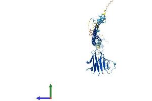 Protein Structure (PS) image for Tripartite Motif Containing 15 (TRIM15) (AA 1-465) protein (His tag) (ABIN7544797)