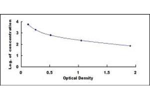 Alpha-Crosslaps ELISA Kit