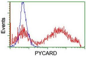 Image no. 2 for anti-PYD and CARD Domain Containing (PYCARD) antibody (ABIN1500519) (PYCARD antibody)