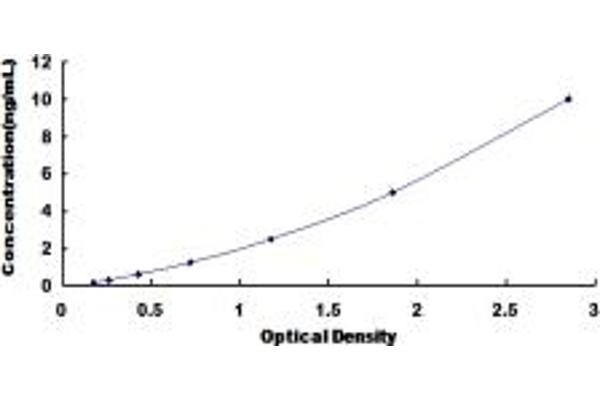 Betacellulin ELISA Kit