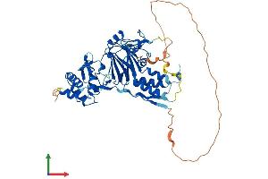 AlphaFold protein structure predicition of Mouse Recombinant Smad1 Protein, UniprotID P70340 (SMAD1 Protein (AA 1-465) (His tag))