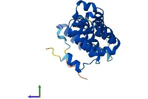 AlphaFold protein structure predicition of Human Recombinant MIF4GD Protein, UniprotID A9UHW6