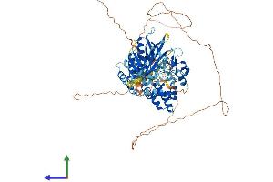 Protein Structure (PS) image for FYVE, RhoGEF and PH Domain Containing 4 (FGD4) (AA 1-766) protein (His tag) (ABIN7547702)