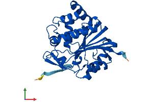 AlphaFold protein structure predicition of Mouse Recombinant Inmt Protein, UniprotID P40936 (INMT Protein (AA 1-264) (His tag))