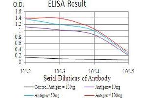 Black line: Control Antigen (100 ng), Purple line: Antigen(10 ng), Blue line: Antigen (50 ng), Red line: Antigen (100 ng), (RAD18 antibody  (AA 332-430))