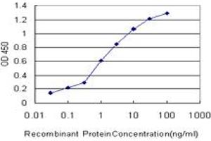 Detection limit for recombinant GST tagged PDK3 is approximately 0. (PDK3 antibody  (AA 174-263))