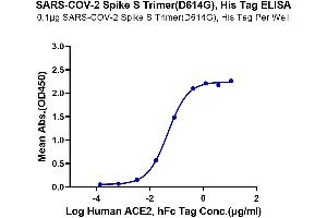Immobilized SARS-COV-2 Spike S Trimer(D614G), His Tag at 1 μg/mL (100 μL/well) on the plate. (SARS-CoV-2 Spike Protein (D614G, Trimer) (His-Avi Tag))