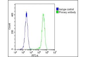 Overlay histogram showing U-2 OS cells stained with (ABIN656235 and ABIN2845551) (green line). (Aquaporin 5 antibody  (C-Term))