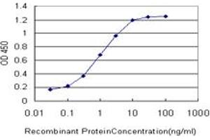 Detection limit for recombinant GST tagged GRM7 is approximately 0. (GRM7 antibody  (AA 431-520))