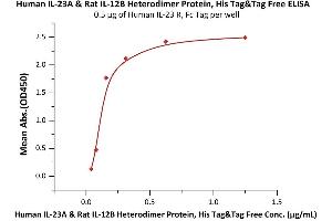 Immobilized Human IL-23 R, Fc Tag (ABIN6731281,ABIN6809891) at 5 μg/mL (100 μL/well) can bind Human IL-23A & Rat IL-12B Heterodimer Protein, His Tag&Tag Free (3) with a linear range of 0. (IL12A & IL27B (AA 20-189) (Active) protein (His tag))