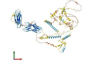 AlphaFold protein structure predicition of Mouse Recombinant Cfap221 Protein, UniprotID A9Q751 (Primary Ciliary Dyskinesia Protein 1 (PCDP1) (AA 1-836) protein (His tag))