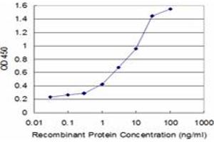 Detection limit for recombinant GST tagged BMP5 is approximately 0. (BMP5 antibody  (AA 341-440))