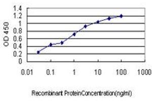 Detection limit for recombinant GST tagged LETM1 is approximately 0. (LETM1 antibody  (AA 601-708))