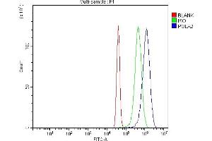 anti-Polymerase (DNA Directed), alpha 2 (70kD Subunit) (POLA2) (AA 267-579) antibody