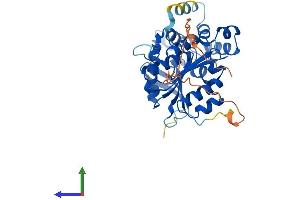 AlphaFold protein structure predicition of Mouse Recombinant Ndrg4 Protein, UniprotID Q8BTG7 (NDRG4 Protein (AA 1-352) (His tag))