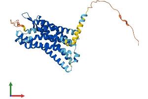 AlphaFold protein structure predicition of Human Recombinant FPR3 Protein, UniprotID P25089 (FPR3 Protein (AA 1-353) (His tag))