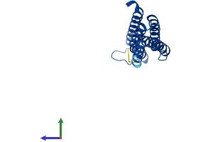 AlphaFold protein structure predicition of Human Recombinant LTC4S Protein, UniprotID Q16873 (LTC4S Protein (AA 1-150) (His tag))