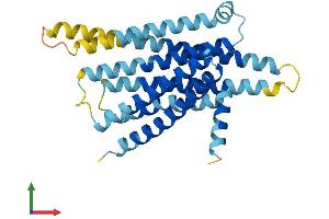 AlphaFold protein structure predicition of Mouse Recombinant Tas2r105 Protein, UniprotID Q9JKT4 (TAS2R105 Protein (AA 1-300) (His tag))