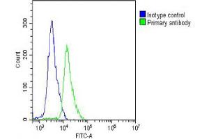 Overlay histogram showing Jurkat cells stained with Antibody (green line). (L-Selectin antibody  (C-Term))