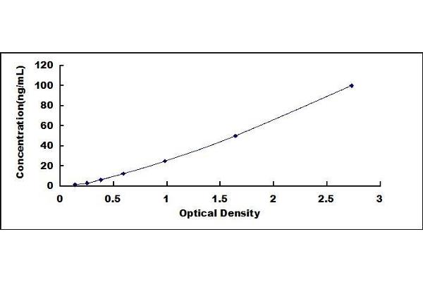 CD73 ELISA Kit