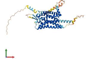 AlphaFold protein structure predicition of Mouse Recombinant Hcrtr1 Protein, UniprotID P58307