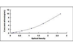 Typical standard curve (AGGF1 ELISA Kit)