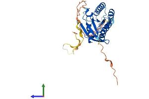 AlphaFold protein structure predicition of Mouse Recombinant Rasl12 Protein, UniprotID Q08AT1 (RASL12 Protein (AA 1-266) (His tag))