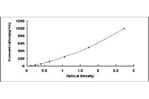 Bone Morphogenetic Protein 1 (BMP1) ELISA Kit