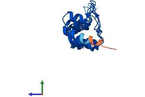 AlphaFold protein structure predicition of Human Recombinant CDKN2C Protein, UniprotID P42773 (CDKN2C Protein (AA 1-168) (His tag))