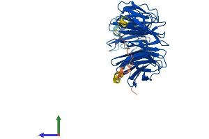 AlphaFold protein structure predicition of Human Recombinant WDR86 Protein, UniprotID Q86TI4