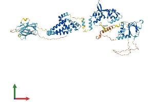 AlphaFold protein structure predicition of Mouse Recombinant Cnnm4 Protein, UniprotID Q69ZF7
