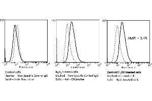 Flow Cytometry analysis using Mouse Anti-Dityrosine Monoclonal Antibody, Clone 10A6 (ABIN5067485). (Dityrosine antibody  (PE))