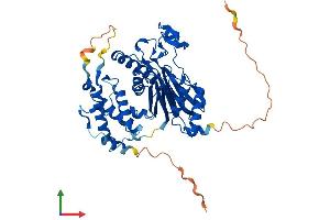 Protein Structure (PS) image for Protein Phosphatase 1F (PP2C Domain Containing) (PPM1F) (AA 1-454) protein (His tag) (ABIN7550864)
